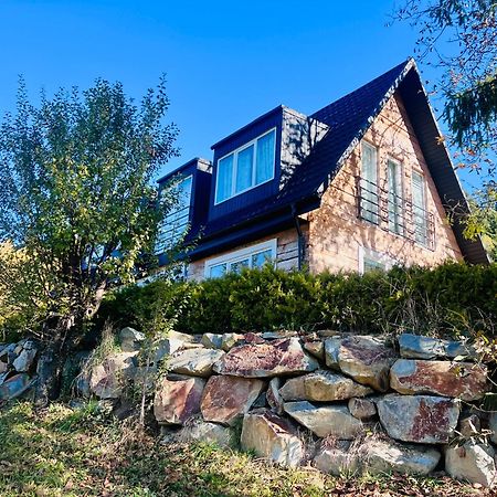 Villa Doinita House Borşa Esterno foto