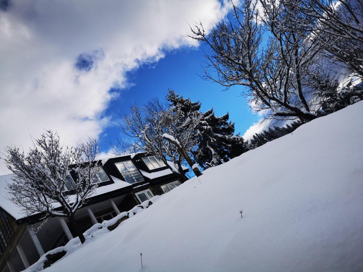 Villa Doinita House Borşa Esterno foto