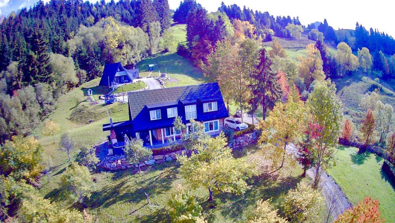 Villa Doinita House Borşa Esterno foto