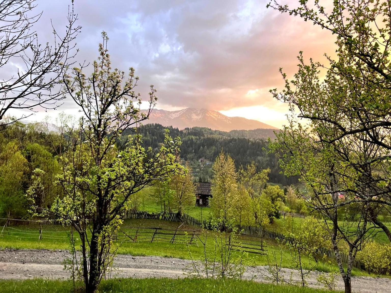Villa Doinita House Borşa Esterno foto