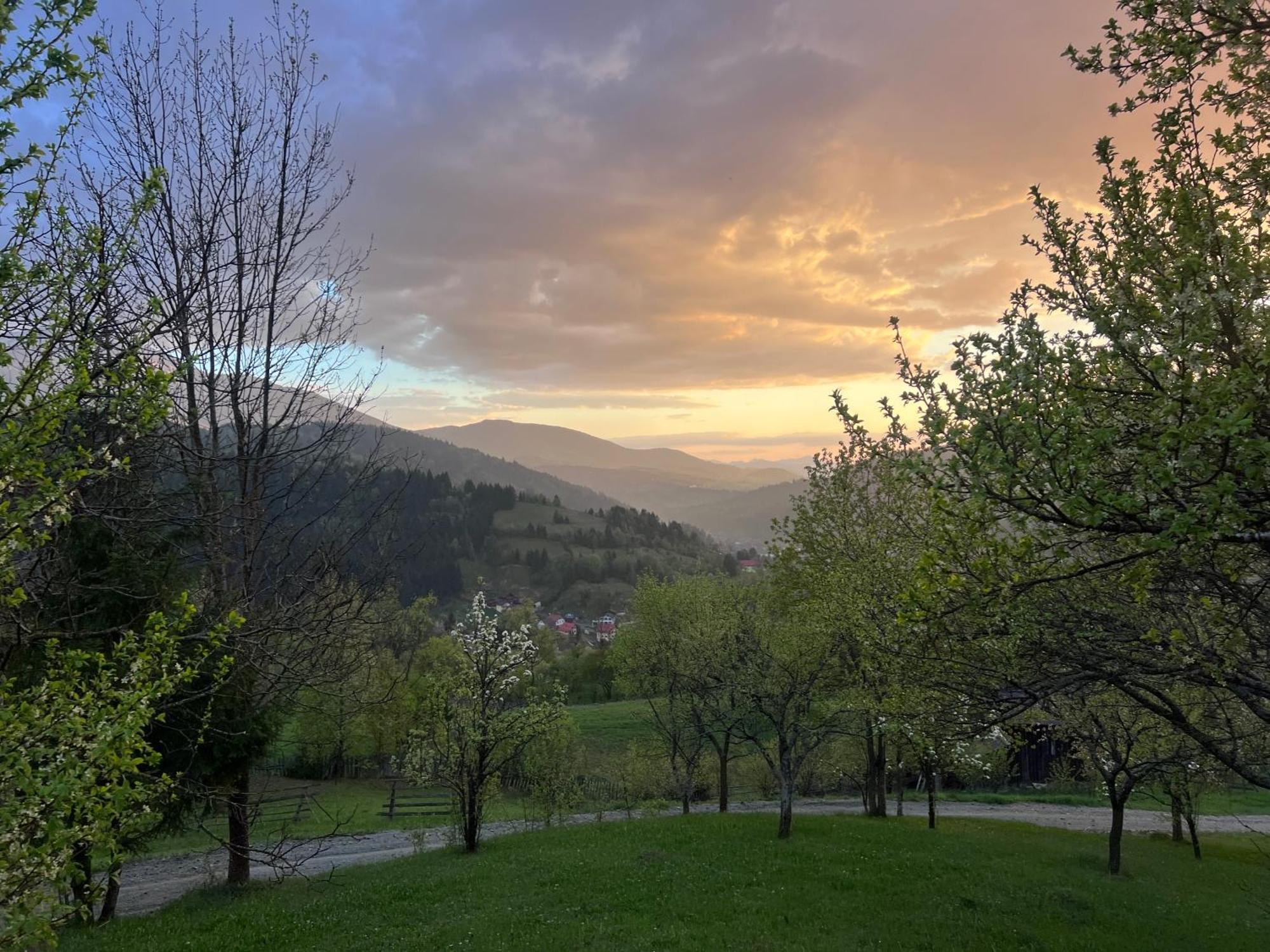 Villa Doinita House Borşa Esterno foto