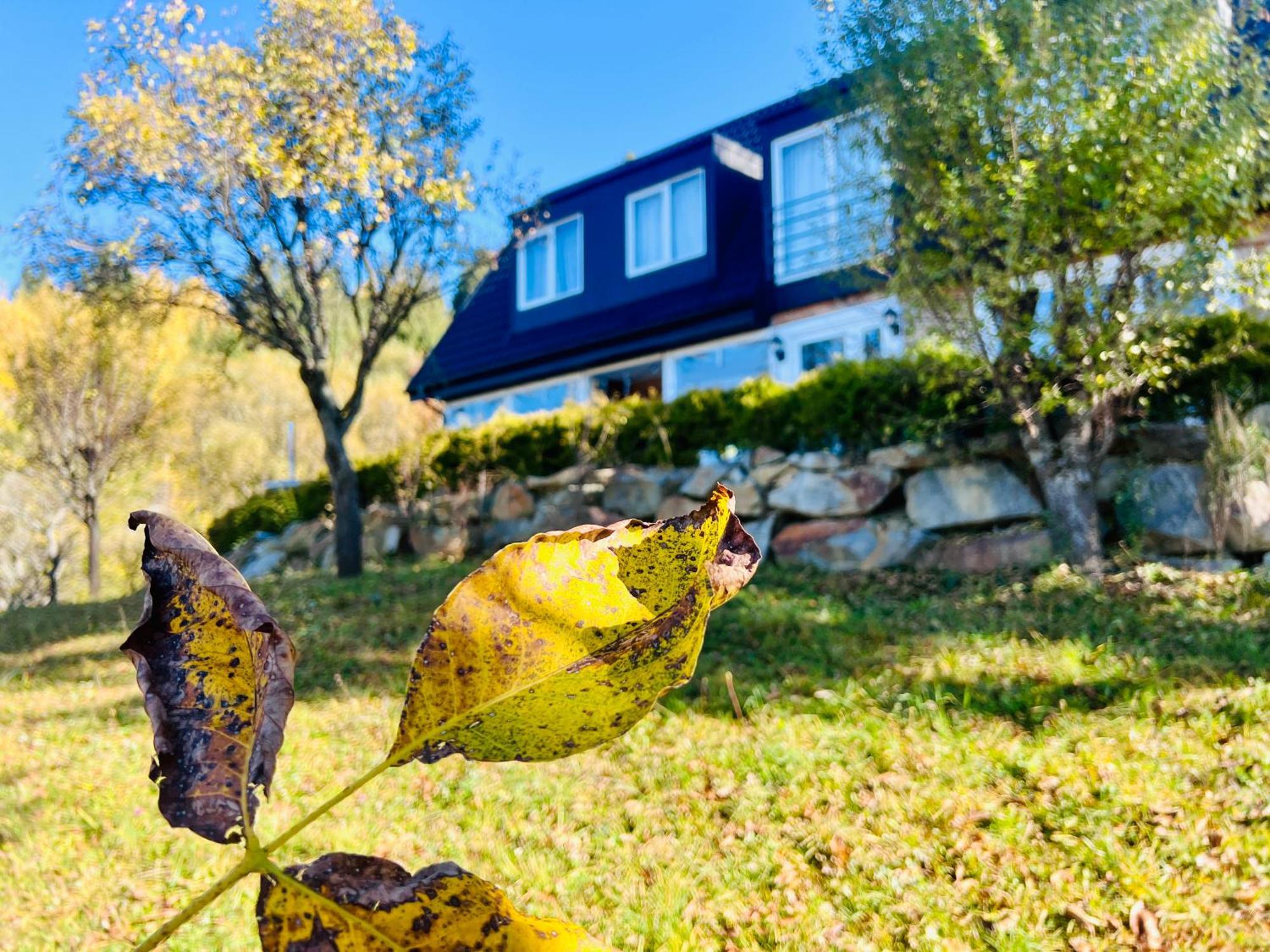 Villa Doinita House Borşa Esterno foto